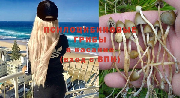 мдпв Абинск